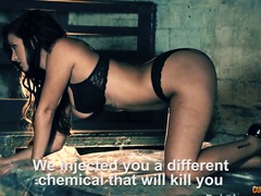 Brutish inked stud bangs Claudia Bavel doggystyle