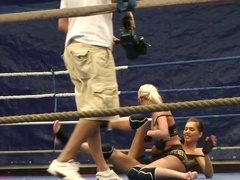 Careless biches Blond Cat and Aspen wrestle on the ring