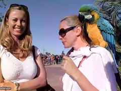 Fun with Sandy and Blue Angel in San Diego