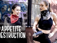 An Appetite For Destruction