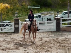 Ally Evans and Dani Daniels in pure sex