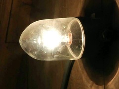 Innocent looking bounded slave girl Grace Noel pleases her kinky master